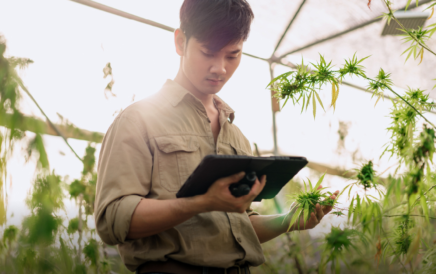 man standing in a green house examining plants