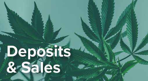 marijuana deposits and sales