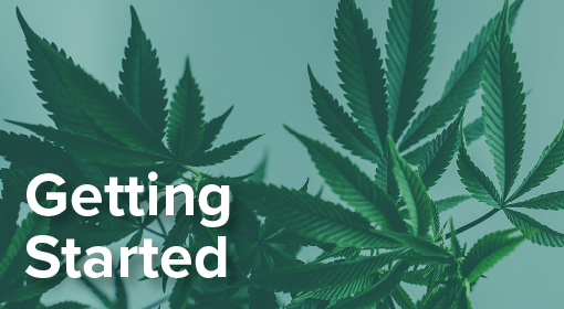 marijuana getting started